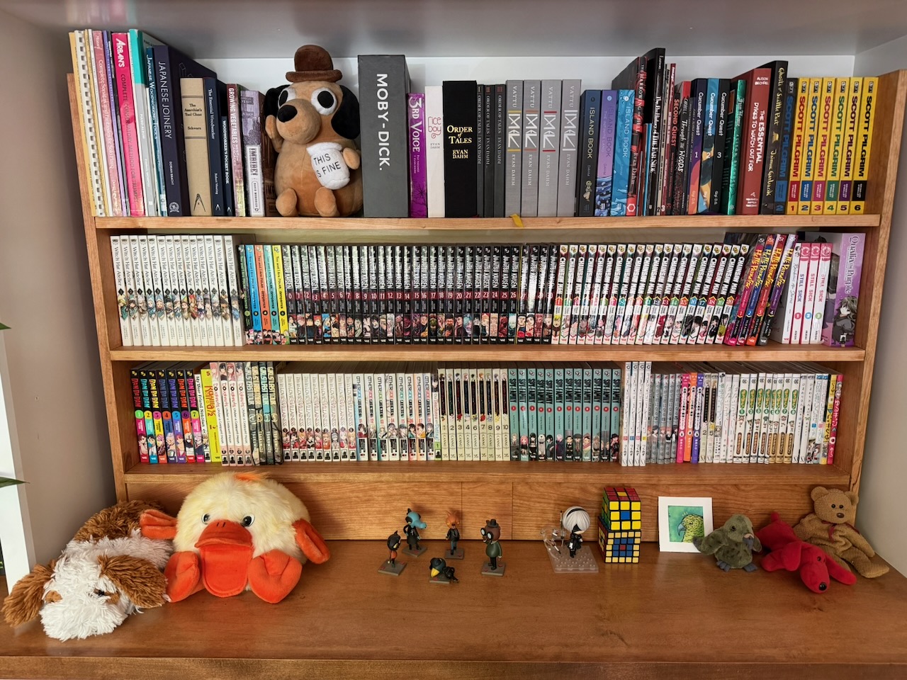 Thumbnail image for the Custom Tankōban Shelves project